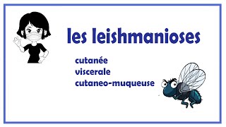 🔵les leishmanioses [upl. by Kaule578]