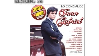 Juan Gabriel  Que Divino Amor Cover AudioVideo [upl. by Culbertson656]