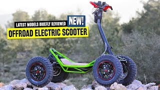 Top 8 Electric Scooters Ranked by Pricing and OffRoad Capabilities in 2020 [upl. by Hanoy]