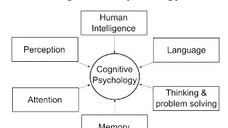 Cognitive Psychology Introduction [upl. by Aikym]