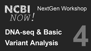 NCBI NOW Lecture 4 DNAseq and Basic Variant Analysis [upl. by Boone]