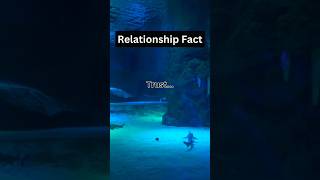 Psychology facts shorts psychologyfacts PsychologyArcade [upl. by Danila]