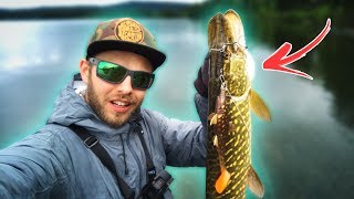 4 Tips for PIKE FISHING from the Shore 🐊 [upl. by Kajdan79]