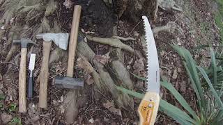 Girdling Root Removal  RED MAPLE Tree [upl. by Aletsirc]