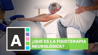 La Fisioterapia Neurológica 🧠 [upl. by Osrock190]