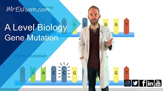 Gene mutation  A Level Biology [upl. by Ydnew]