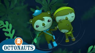 Octonauts  Shellington Adrift  Compilation  Cartoons for Kids [upl. by Markson651]