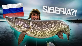 Exploring Pike Fishing in SIBERIA 🇷🇺 [upl. by Eolc834]