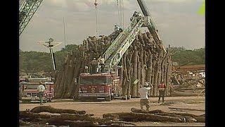 111899 AGGIE BONFIRE COLLAPSE [upl. by Howes]