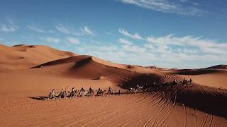 Camel Ride into the Sahara Desert [upl. by Lynnell675]