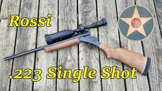 Rossi 223 Single Shot Rifle First Impressions Review [upl. by Atnoved857]