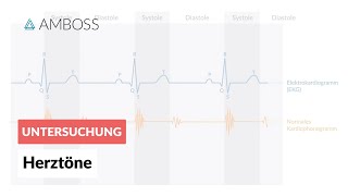 Physiologische Herztöne  AMBOSS  Video [upl. by Irvine]