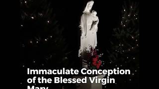 What Is The Immaculate Conception [upl. by Mis785]