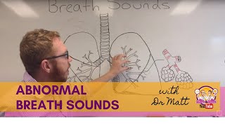 BREATH SOUNDS BRONCHITIS [upl. by Susanetta]