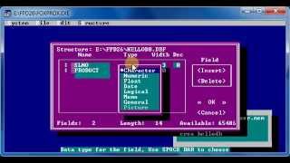 Foxpro Basic Commands [upl. by Anna-Diana]