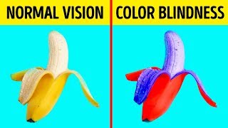 How Color Blind People See the World [upl. by Glenna]