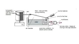 spirometer trace AS OCR Biology WHS [upl. by Emirej]