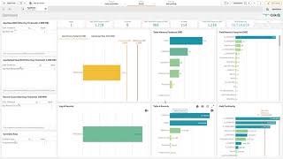 Qlik App Analyzer  Demo [upl. by Lauro]