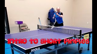 Table Tennis Basics  Introduction to Short Pimple Rubber [upl. by Chapman]