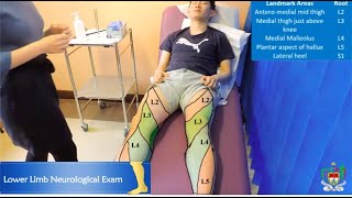 Mayo Medics Lower Limb Neurological Exam [upl. by Nollahs]