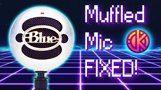 Muffled Mic SOLUTION Fix for Windows 10 [upl. by Couchman]