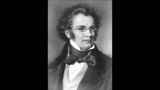 Schubert  Symphony No 8 Unfinished I Allegro moderato HQ [upl. by Iamhaj]