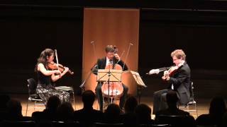 JSBach BWV 988  Goldberg Variations for String Trio [upl. by Alvy584]