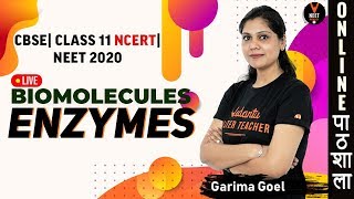 Enzymes  Biomolecules  Class 11 Biology Chapter 9  NEET 2020  NEET Biology  by Garima Goel [upl. by Nnairret]