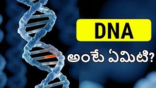 DNA in Telugu  What is DNA in Telugu  DNA Explained with ENGLISH SUBTITLES [upl. by Ahsekad]