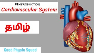 Physiology  Introduction to the Cardiovascular System in Tamil Lecture [upl. by Marne526]