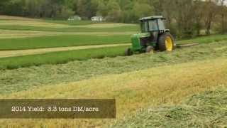 Triticale Cover Crops for Feed and Soil Health [upl. by Hoeve457]