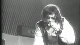 Steppenwolf  Born to be Wild Live [upl. by Ztnaj]