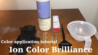 Color Application tutorial  Ion Color Brilliance for beginners [upl. by Ecurb75]