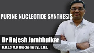 Purine nucleotide synthesis AMP and GMP [upl. by Finley]