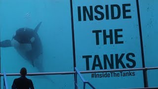 Inside The Tanks Full Documentary [upl. by Ssilb]