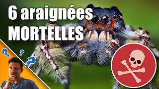 6 ARAIGNÉES MORTELLES ou pas 2019 [upl. by Hanako]