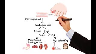 Pharmacology  NSAIDs amp PROSTAGLANDIN ANALOGS MADE EASY [upl. by Nylleoj]