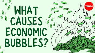 What causes economic bubbles  Prateek Singh [upl. by Leda867]