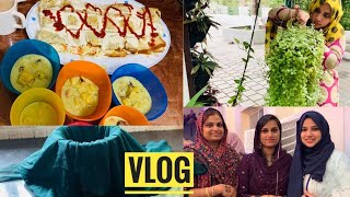 VLOGSnack RecipesWeddingHanging PlantsTastetours by Shabna Hasker [upl. by Ylrebmek]