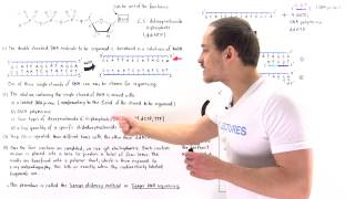 Sanger Sequencing of DNA [upl. by Ferrel]