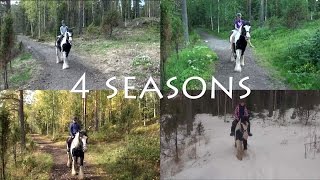 One Girl  One Horse  Same Trail  Four Seasons  Ian the Horse [upl. by Lonne]