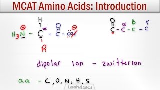 Amino Acids Intro to Structure Charge Classification and Reactions [upl. by Ainer731]