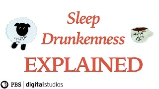 Sleep Drunkenness Explained [upl. by Caassi116]