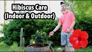 How to Care for a Hibiscus Indoor amp Outdoor [upl. by Faden]