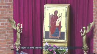 Holy Mass Live from Walsingham  21st August 2024 [upl. by Artimed399]