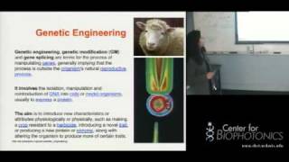 Basic Molecular Biology [upl. by Rinee]