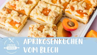 Aprikosenkuchen vom Blech I Einfach Backen [upl. by Crowe]