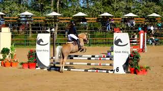 Pony Show Jumping  Children [upl. by Natasha]