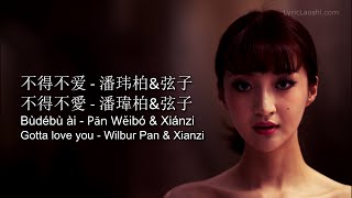 Wilbur Pan  Bu De Bu Ai 不得不爱  Pinyin Lyrics Chinese English LyricLaoshi [upl. by Nilesoy121]