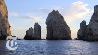 What to Do in Los Cabos Mexico  36 Hours Travel Videos  The New York Times [upl. by Angelia]